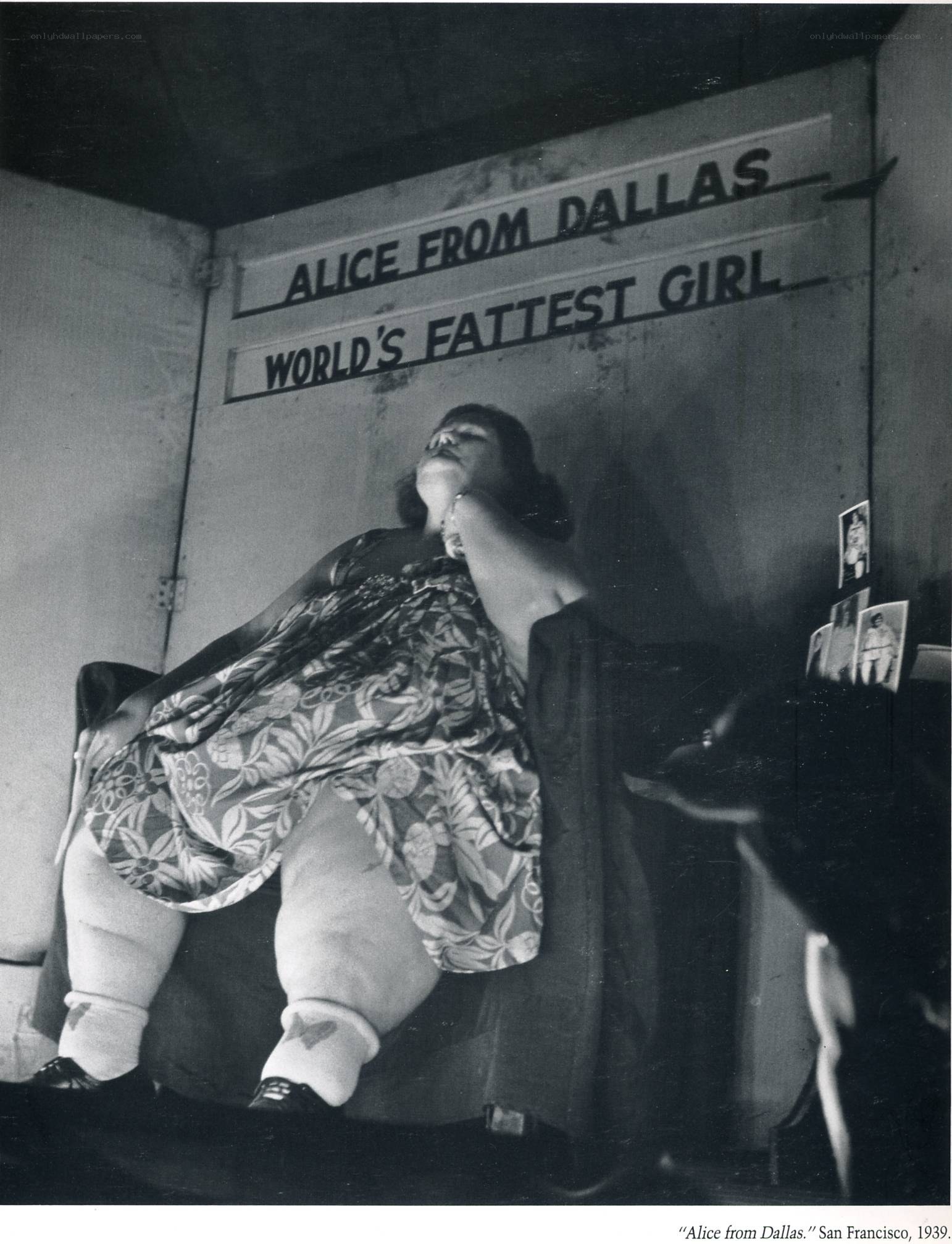 Alice from Dallas exhibit