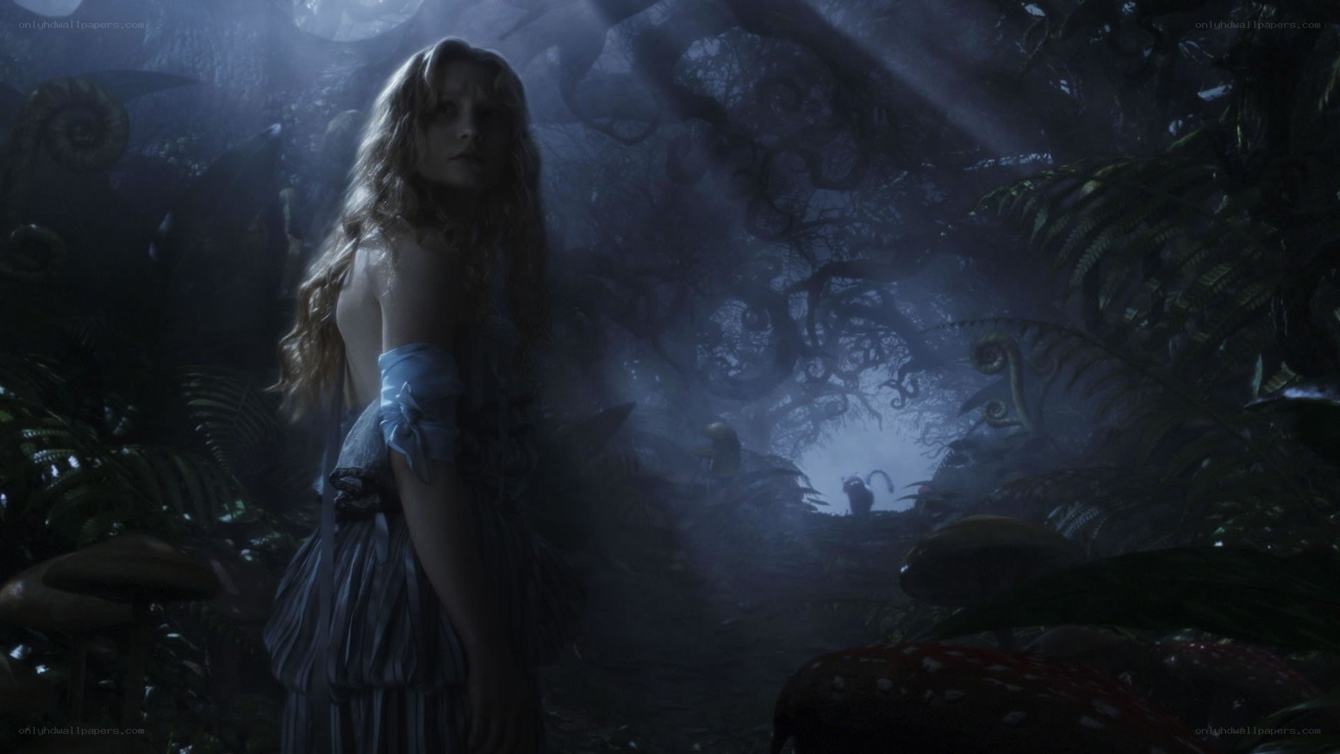 Alice in a dark forest