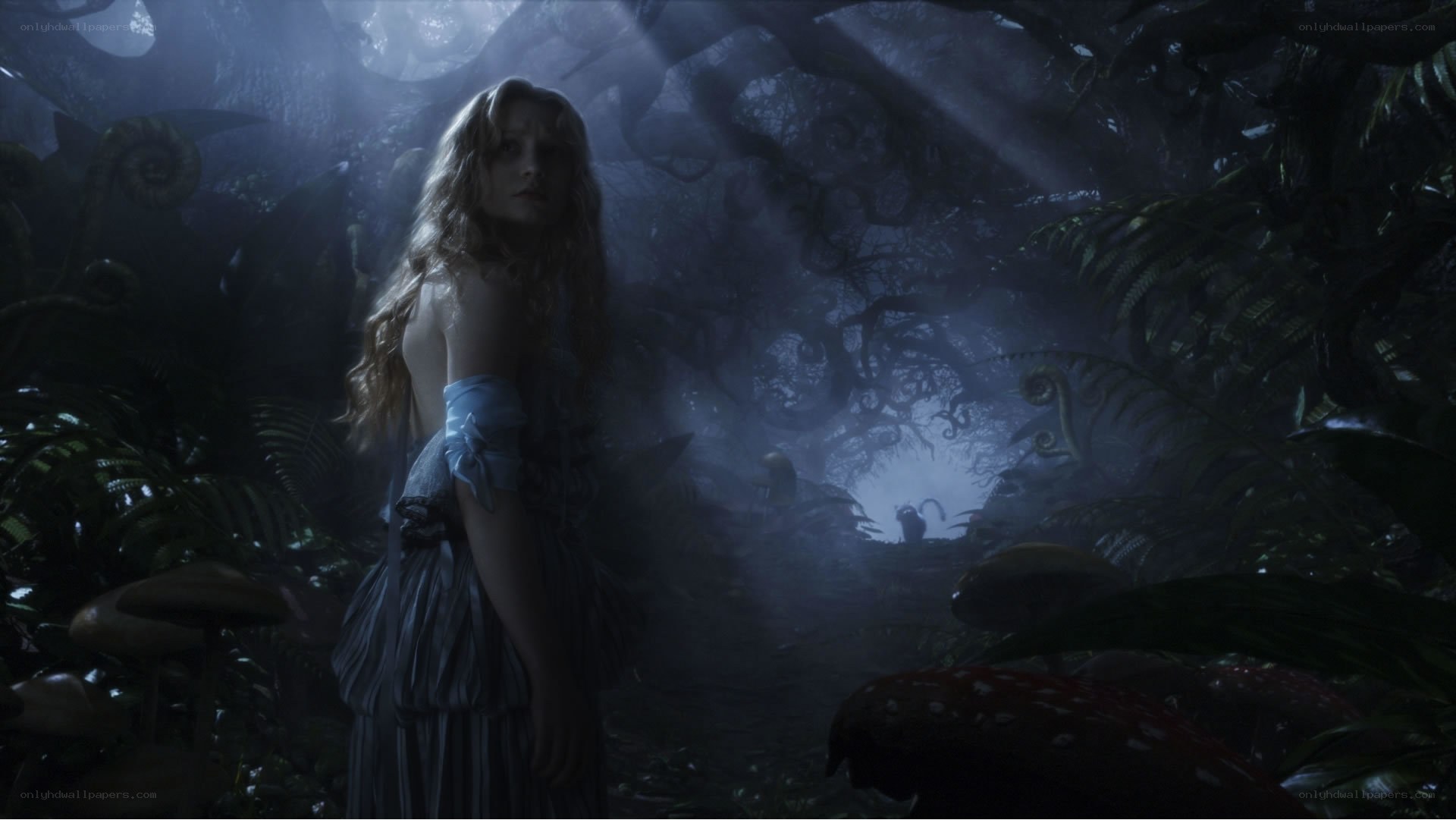 Alice in a dark forest