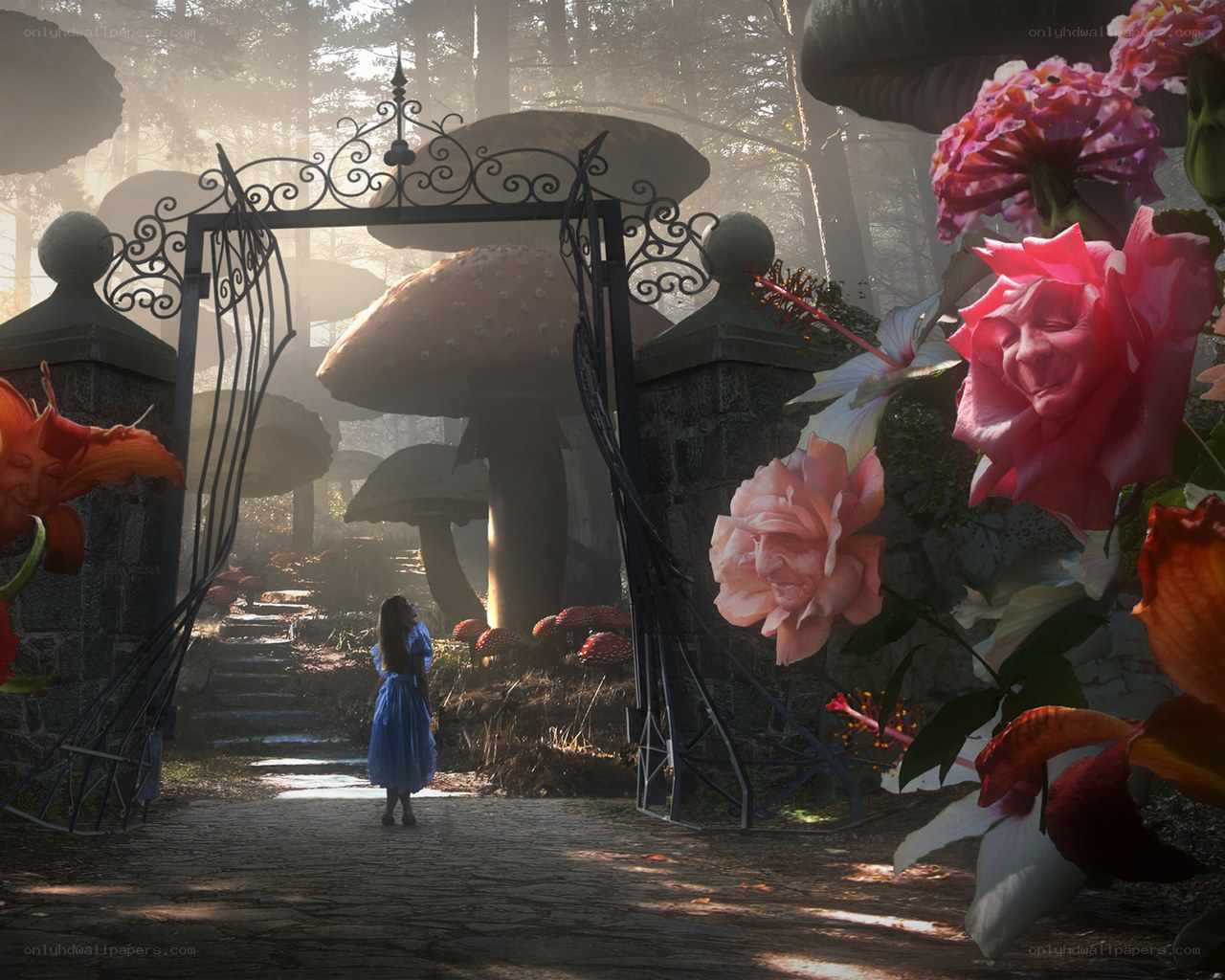 Alice in a magical forest