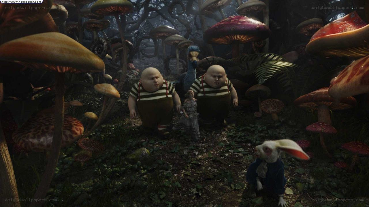Alice in a mushroom forest