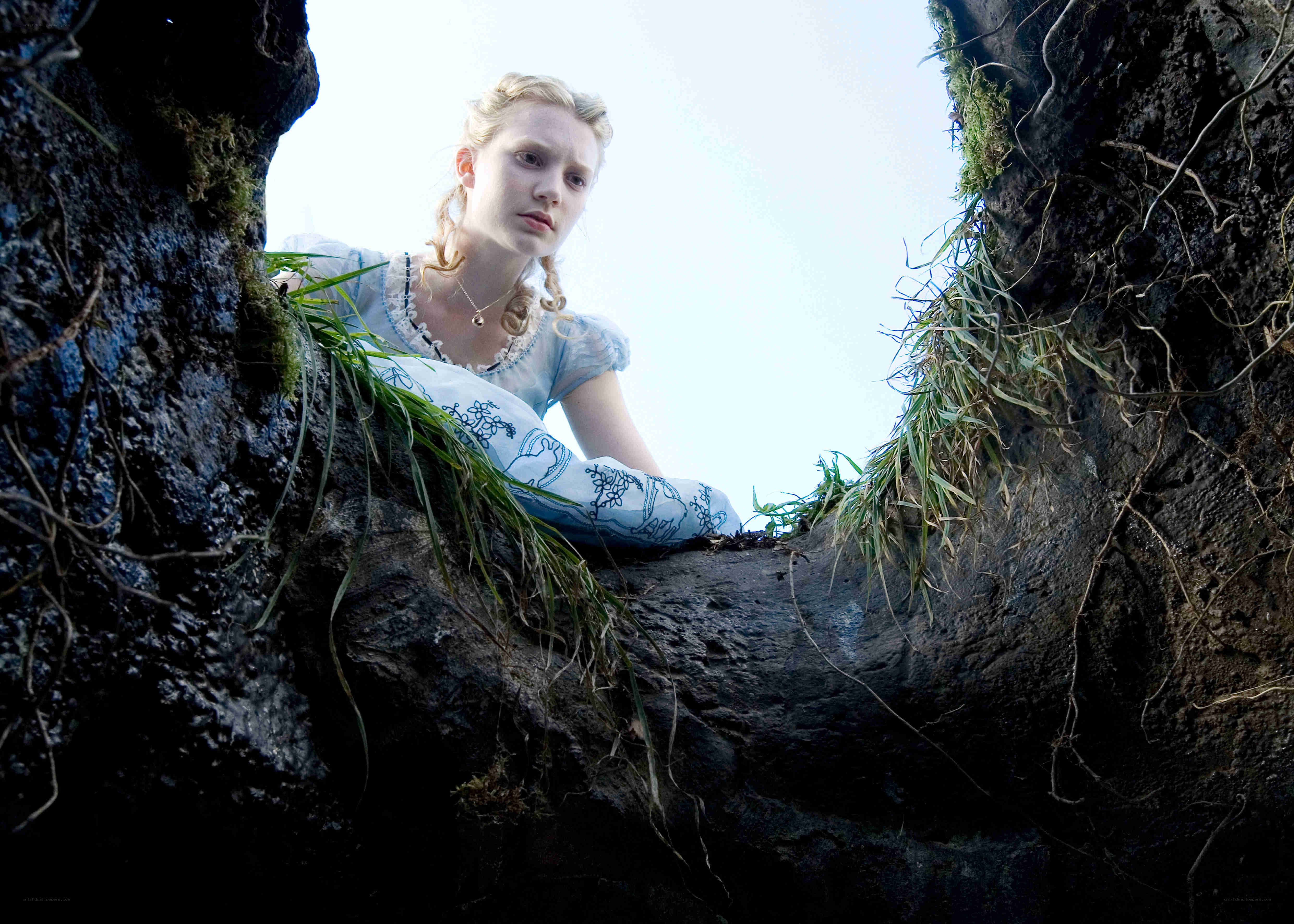 Alice in a rabbit hole