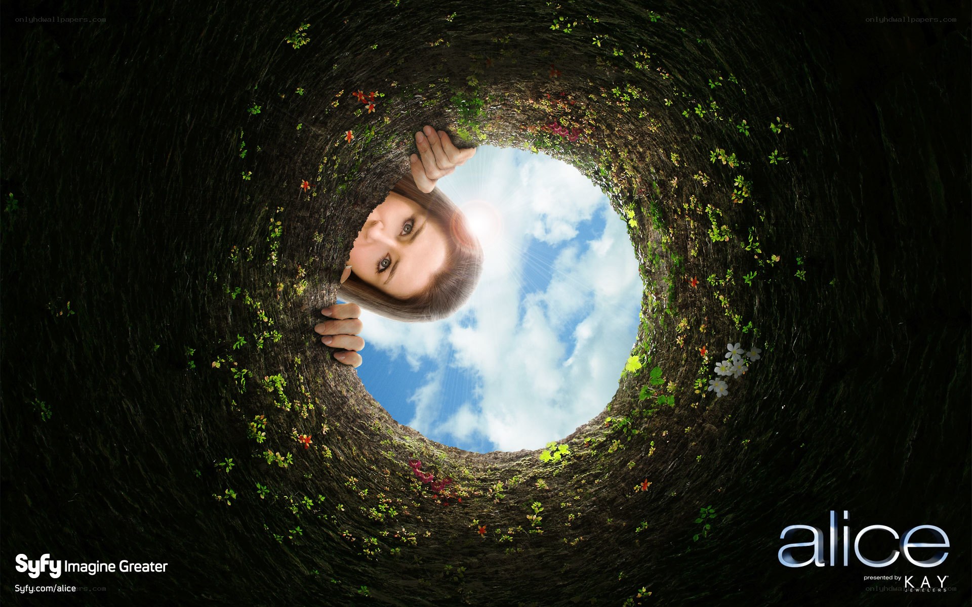 Alice in a rabbit hole