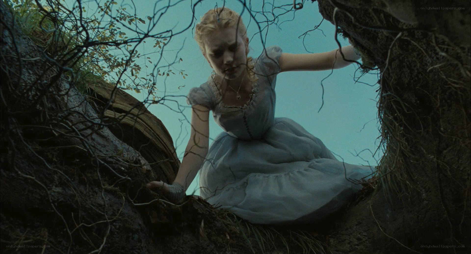 Alice in a rabbit hole