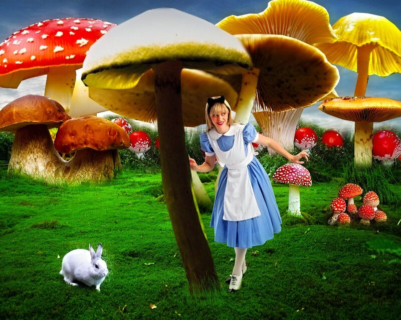 Alice in Mushroom Field