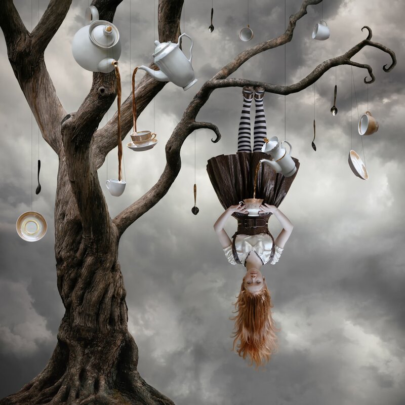 Alice in Wonderland — Gray, Dreamlike