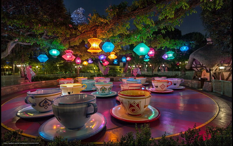 Alice in Wonderland teacups at night