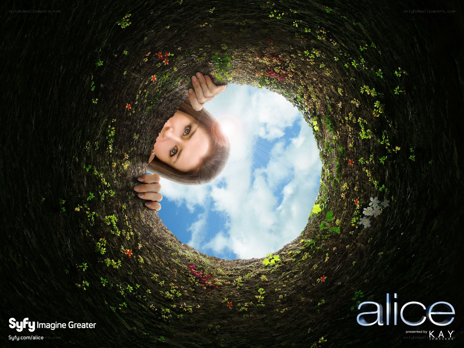 Alice looking up from a well