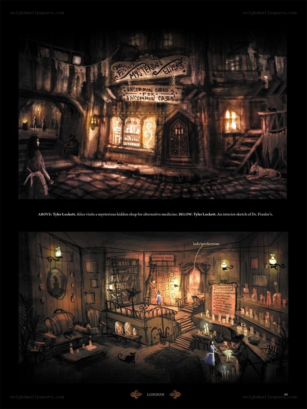 Alice visits a mysterious shop