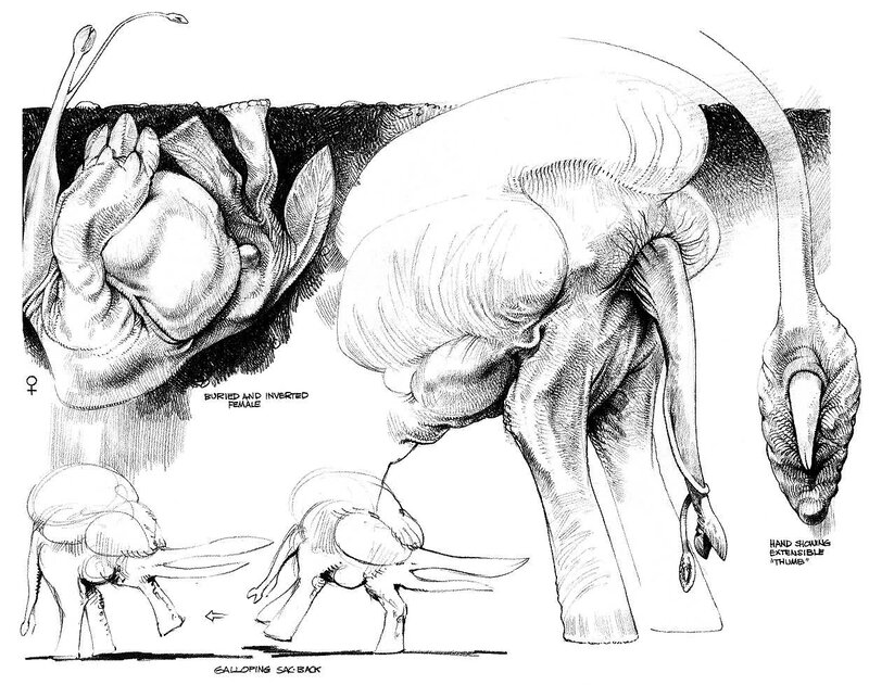alien anatomy sketches