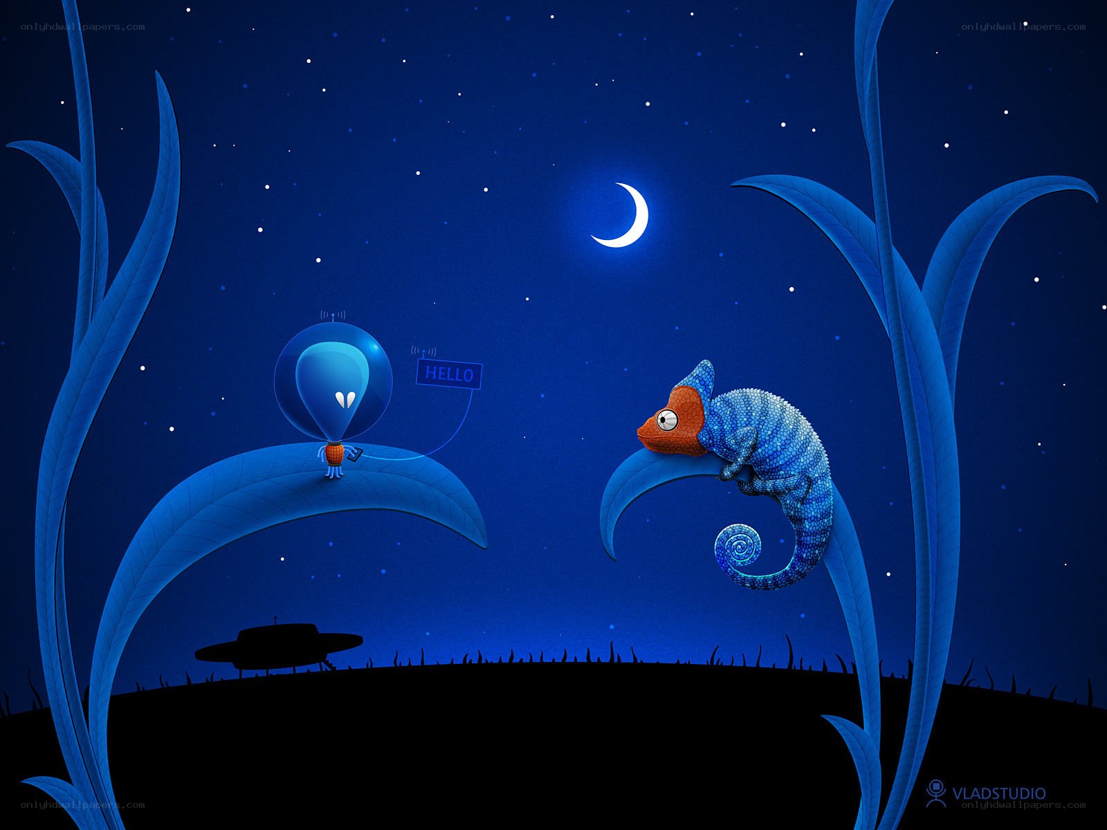 Alien and chameleon night meeting