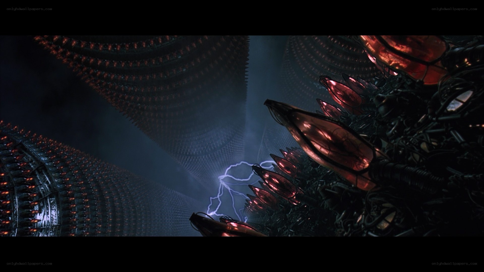 alien biomechanical structure