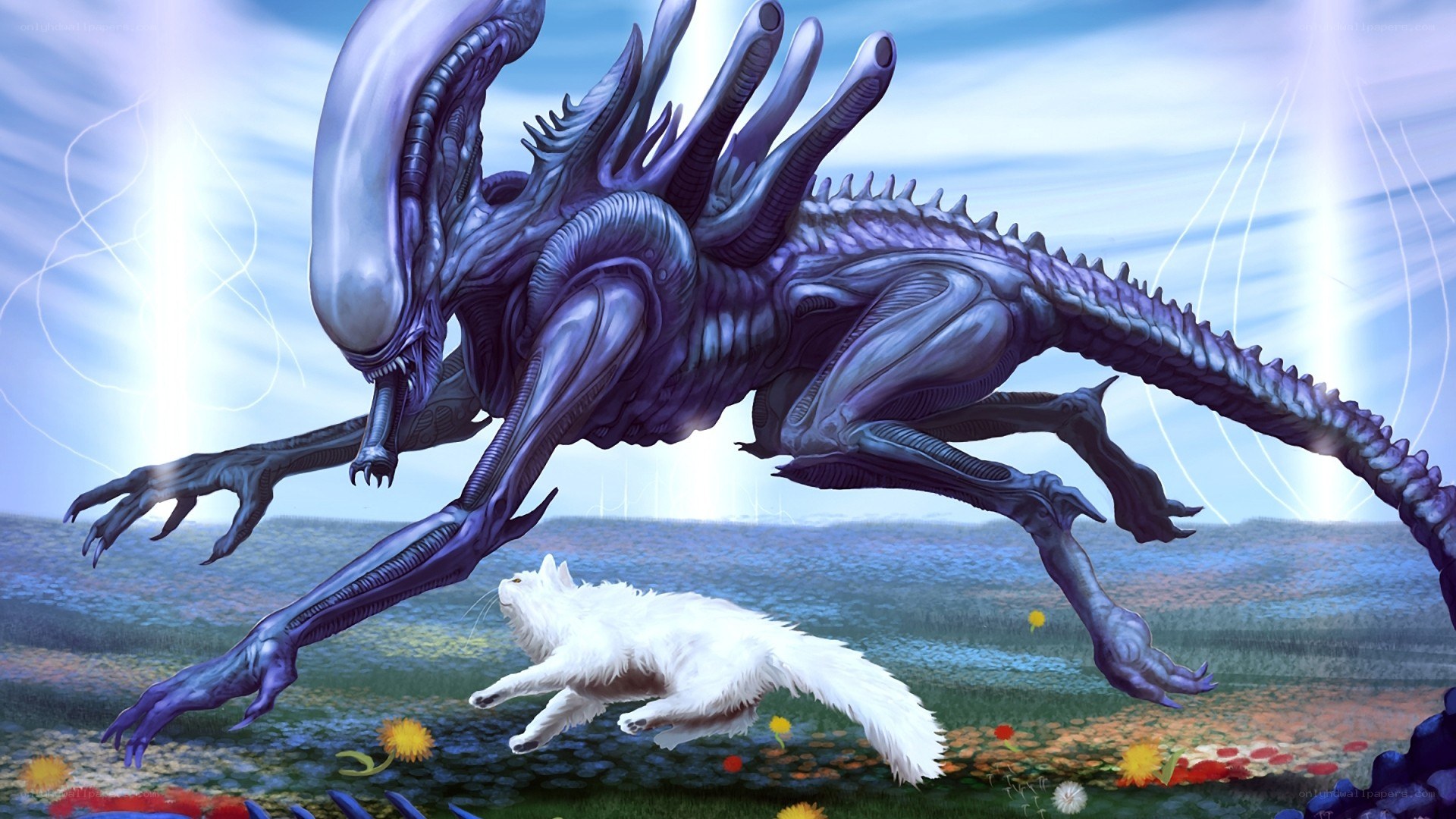 Alien chasing a cat