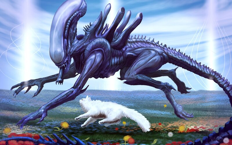 Alien Chasing Cat