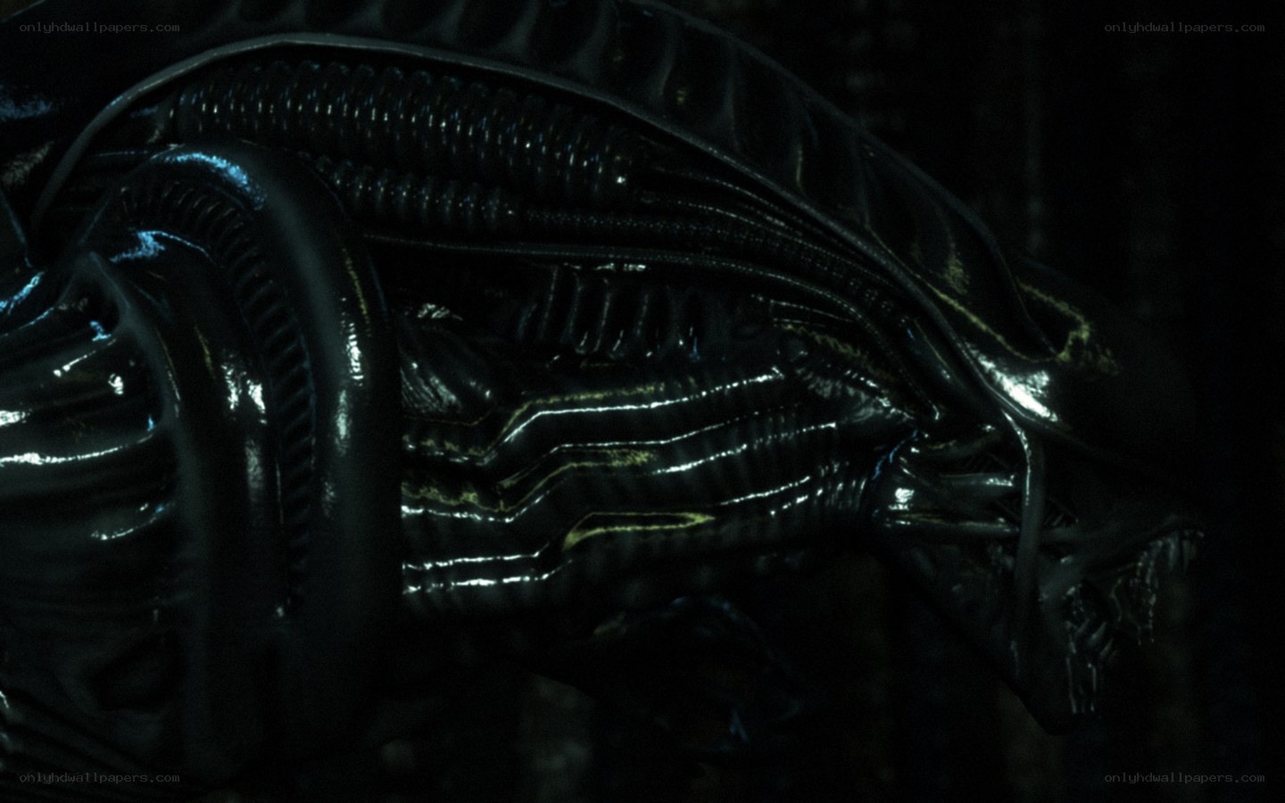 Alien creature close-up