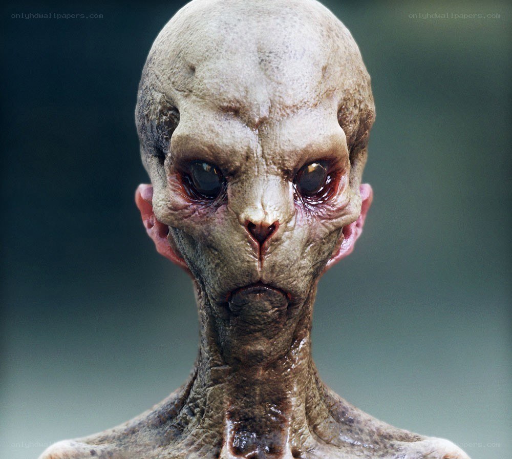 alien creature close-up
