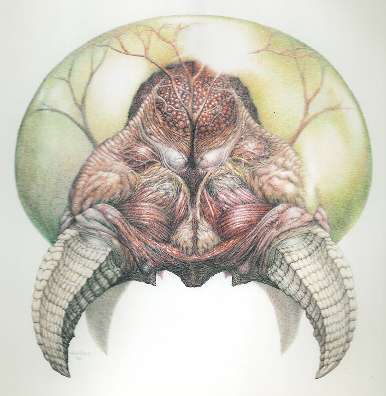 Alien Creature Head — Green, Dramatic