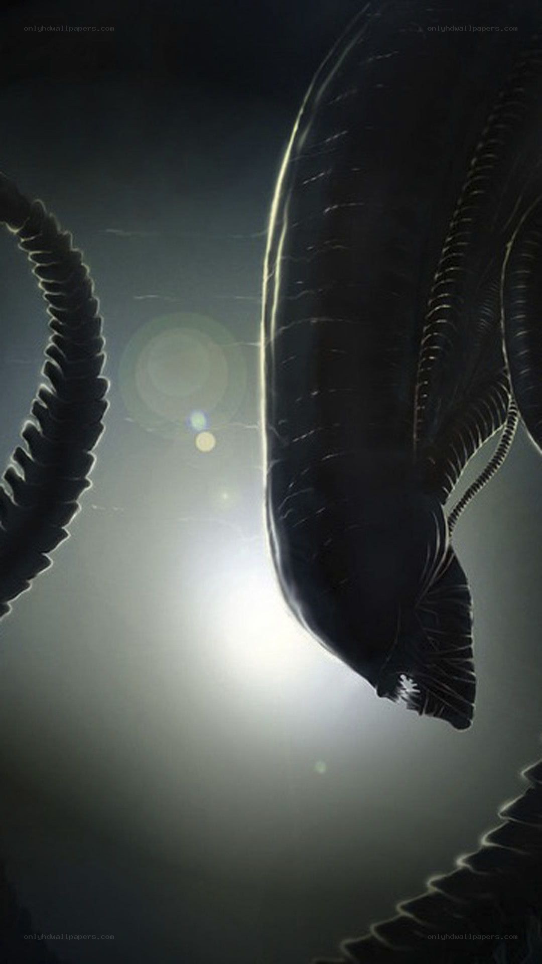 Alien creature in dark light