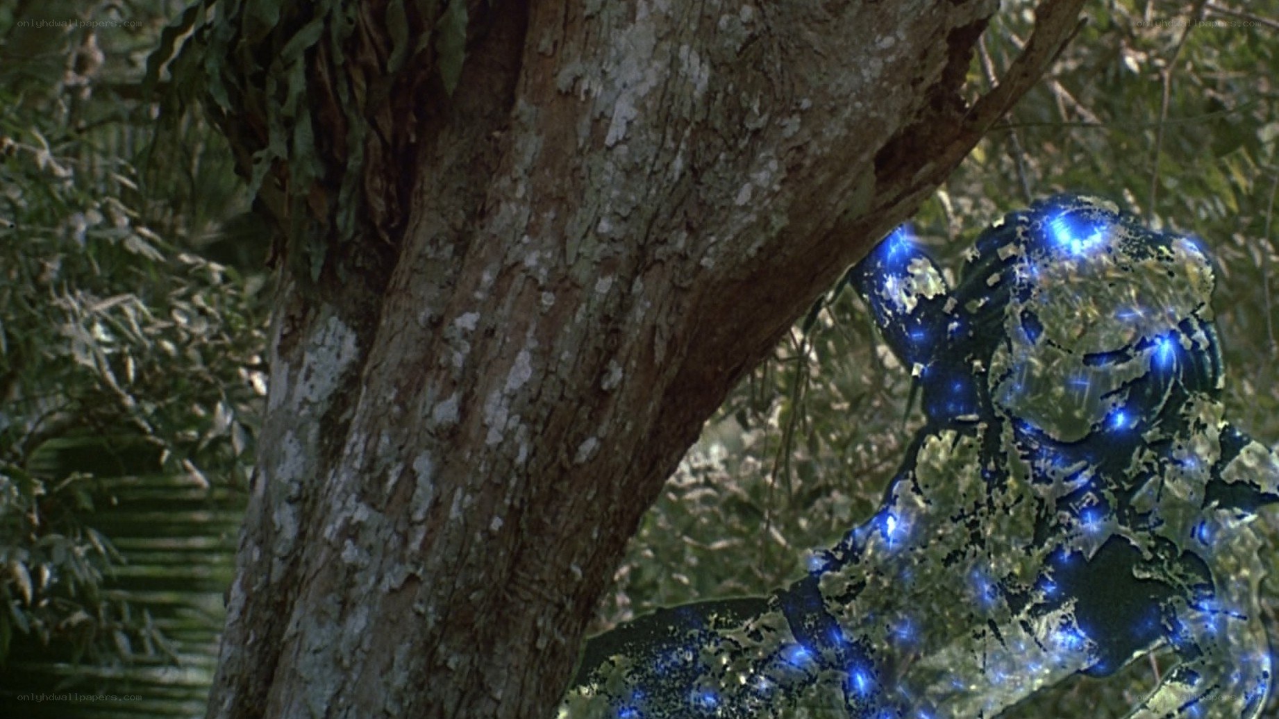 alien creature in forest