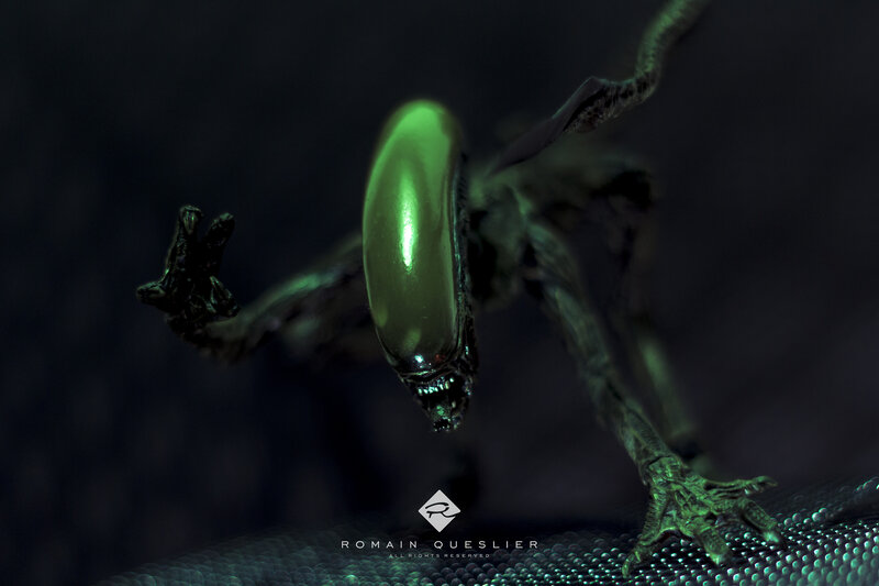 Alien Creature Model — Black, Dark, Dramatic, Digital Art