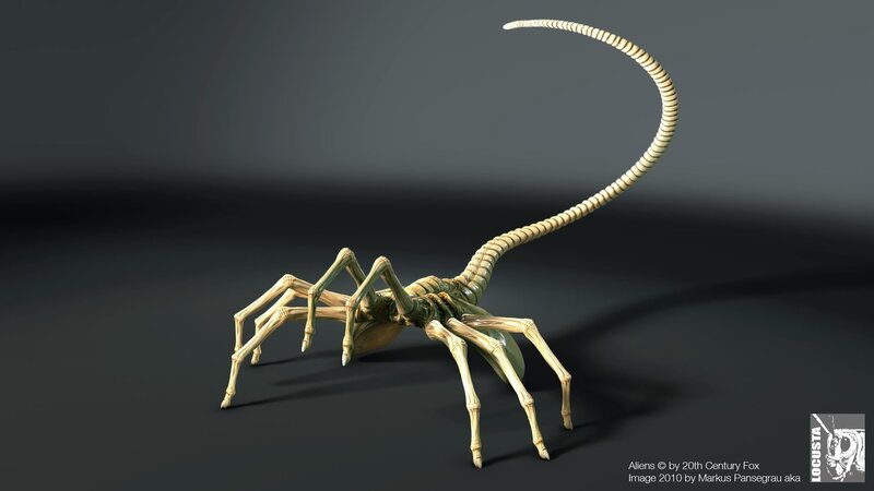 Alien Creature Skeleton — Gray