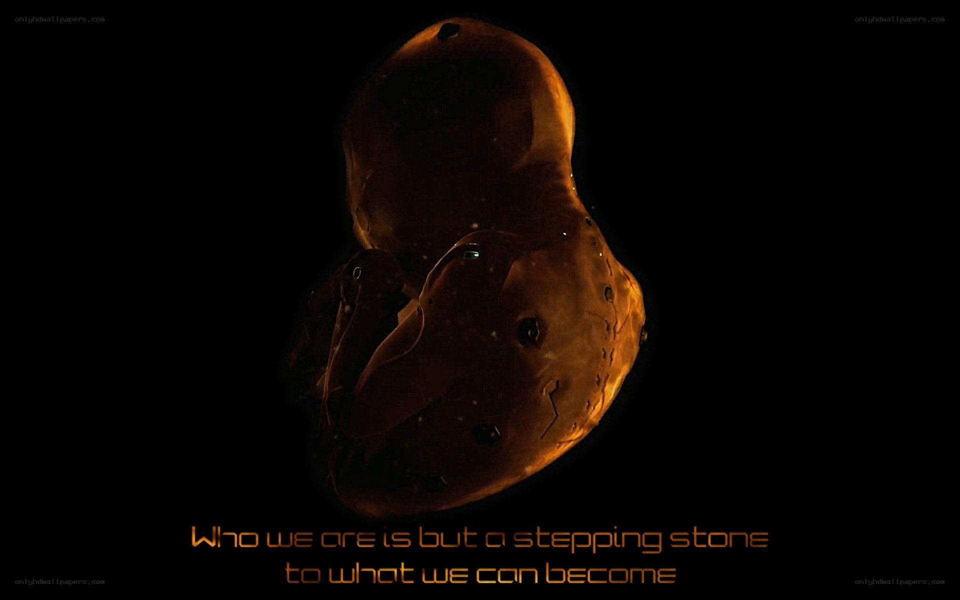 alien embryo in darkness