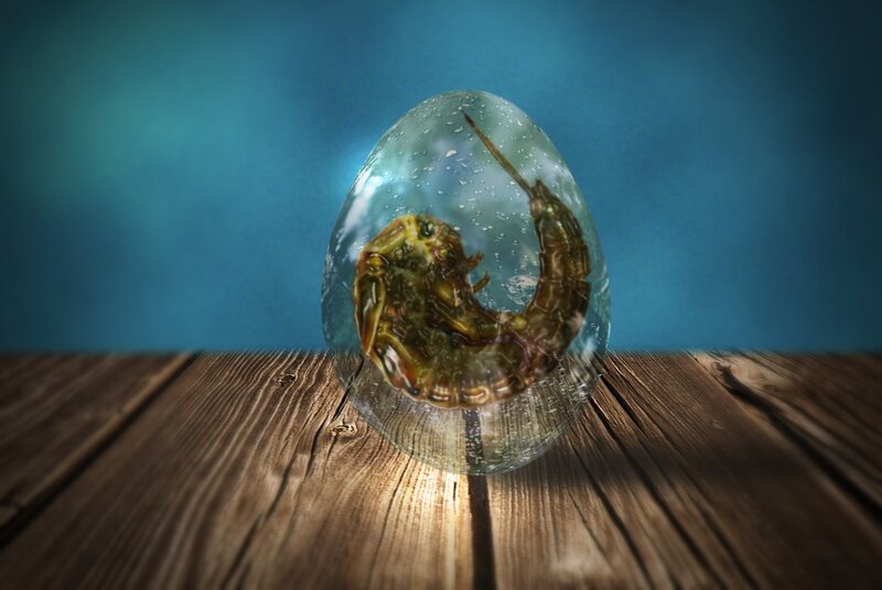 Alien Embryo in Egg