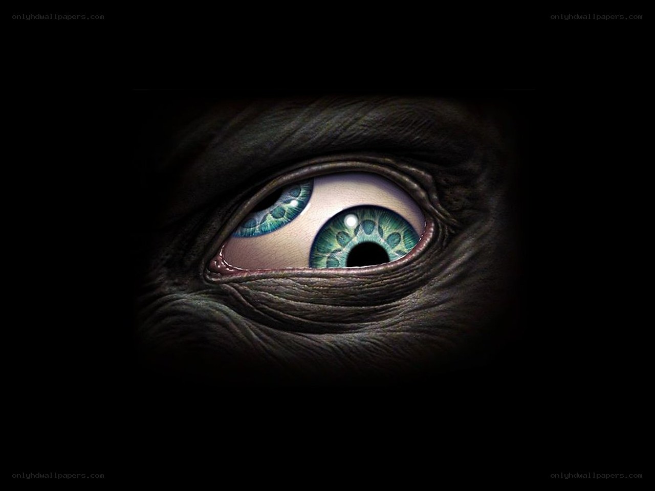 alien eye close-up
