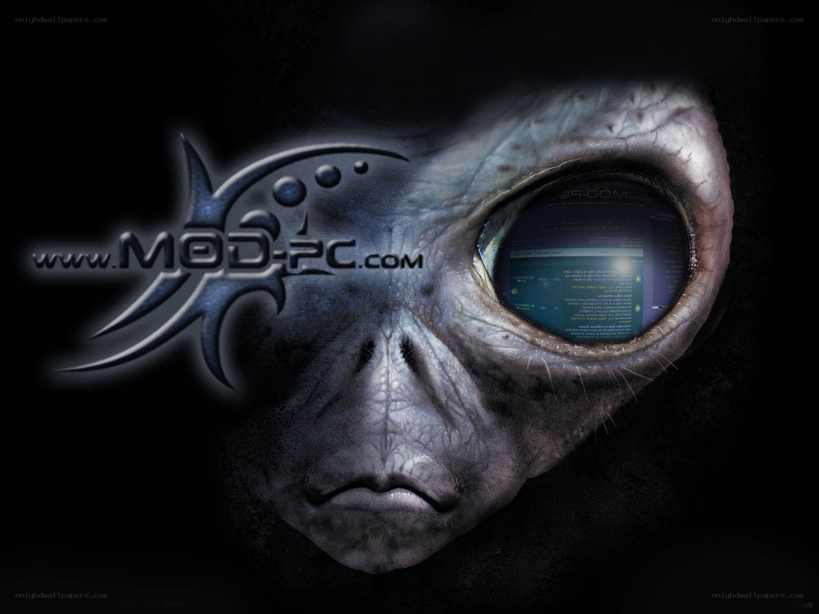 alien eye with website reflection