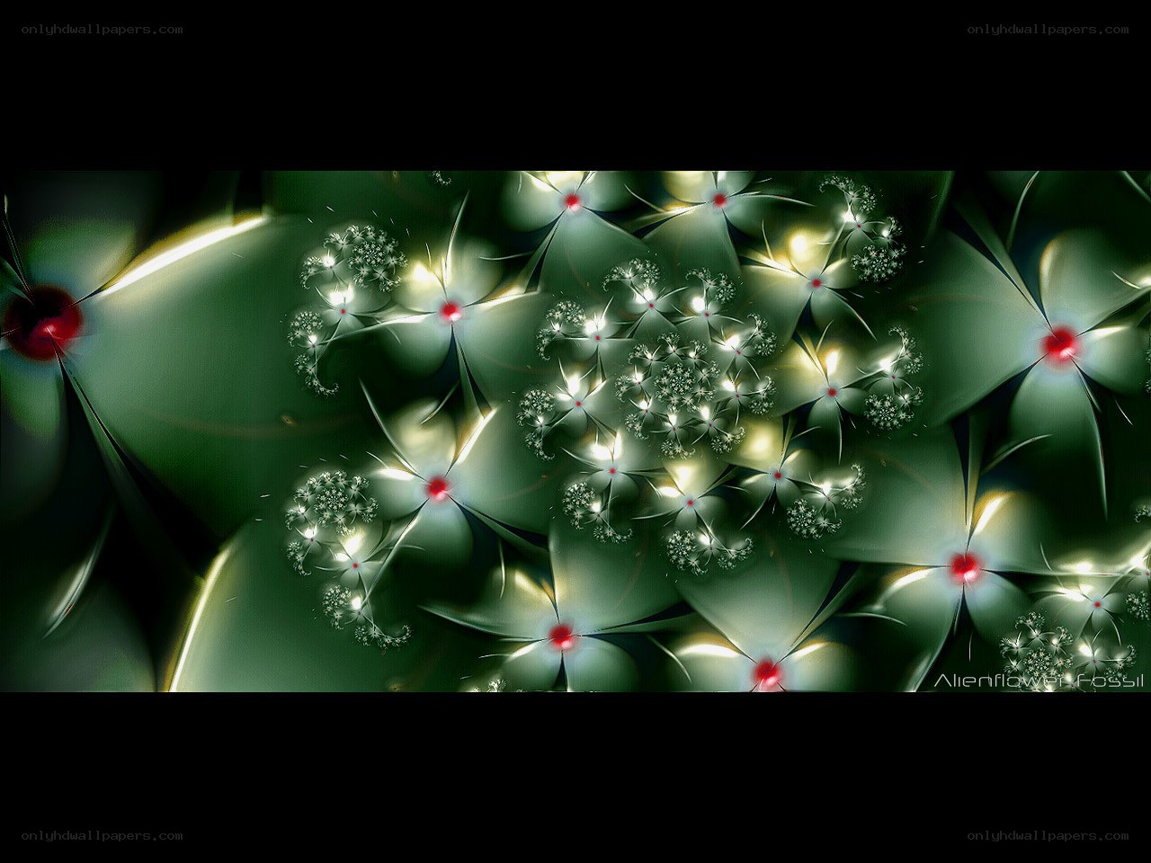 alien flower fossil fractal
