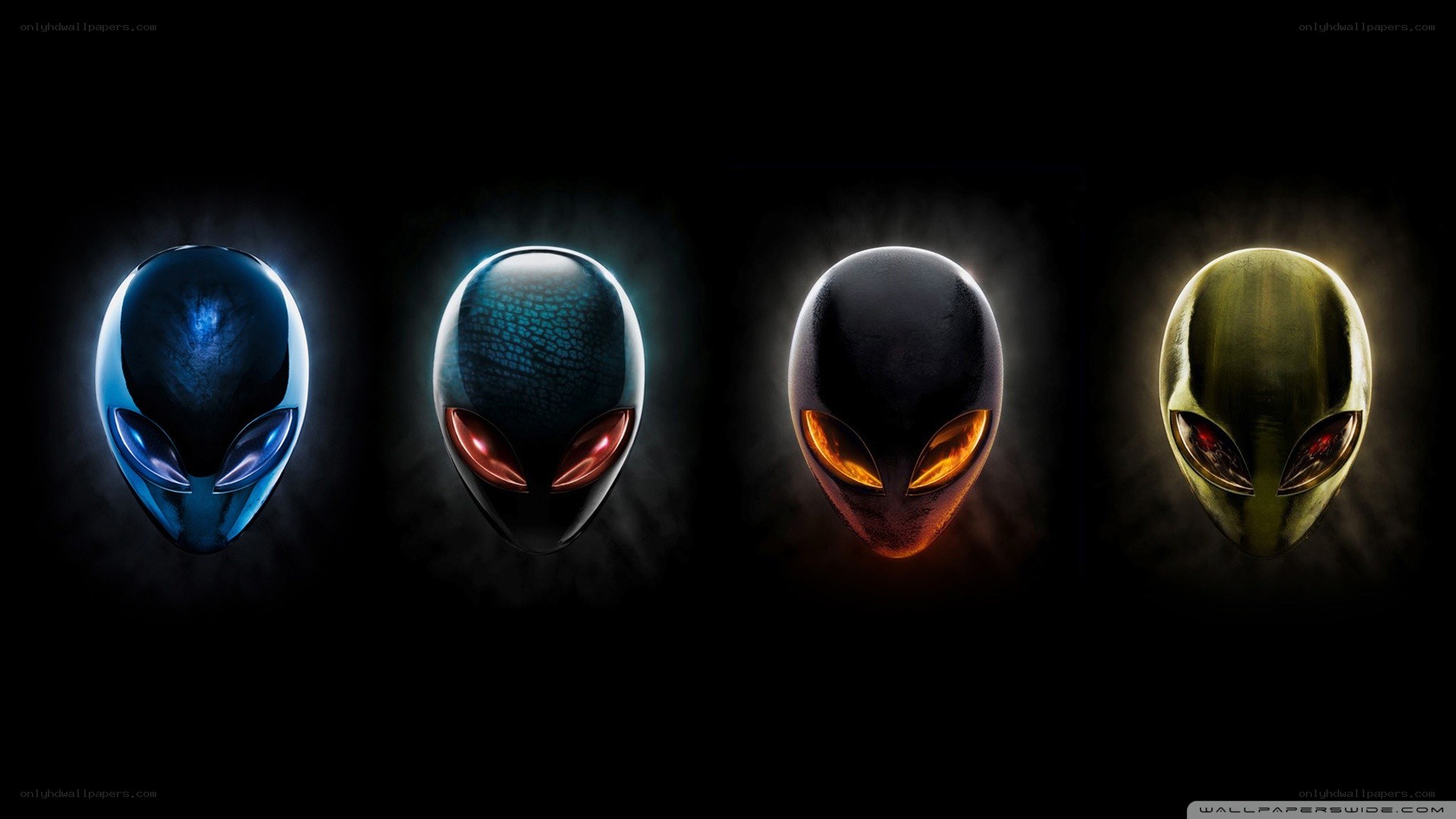 alien head collection