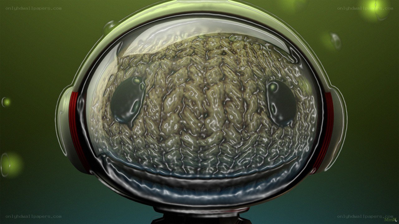 alien head in helmet