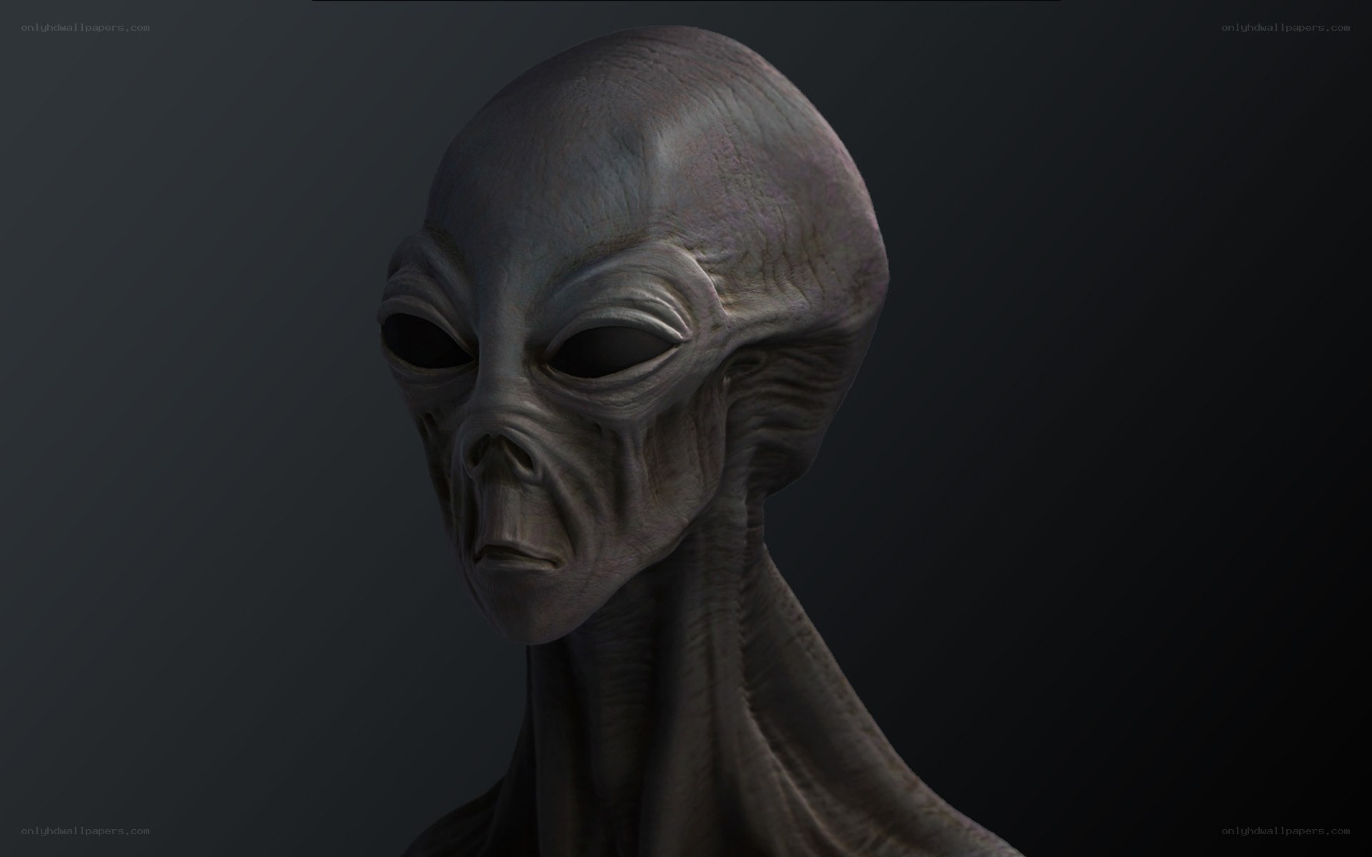 alien head sculpture