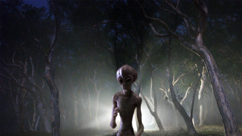 Alien in Forest — Green