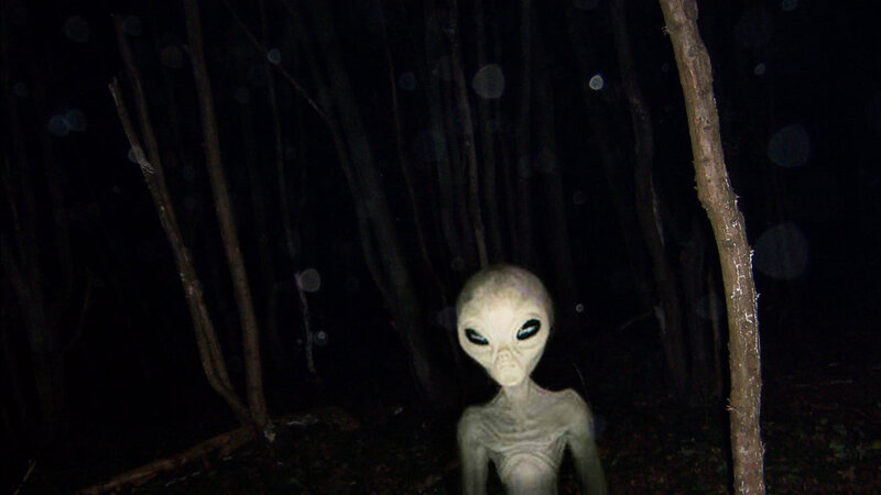 Alien in Forest