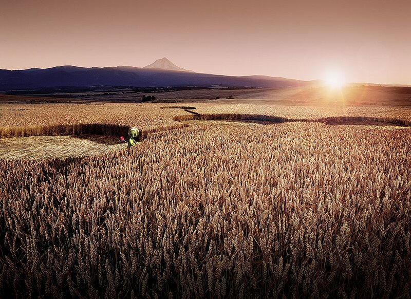 Alien in Wheat Field