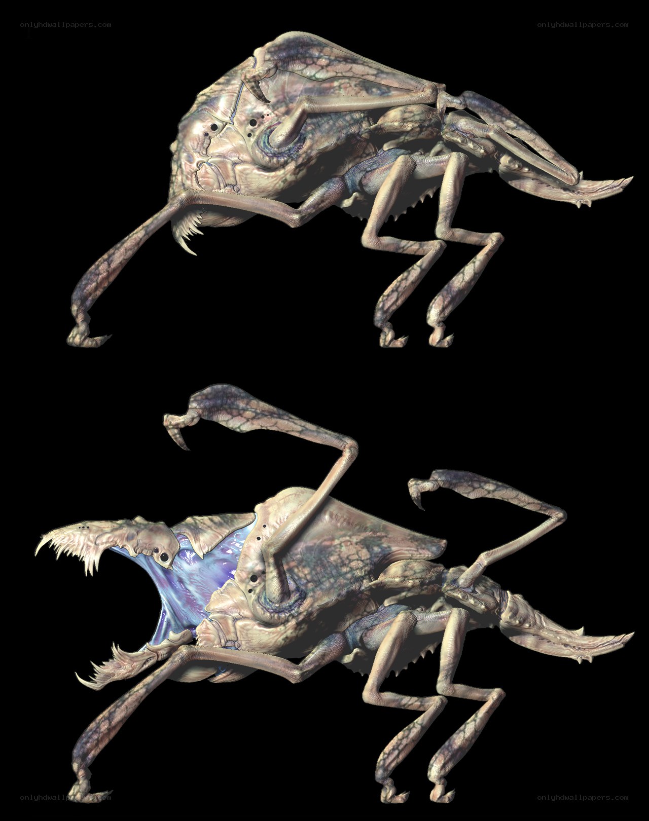 alien insect creature concept art