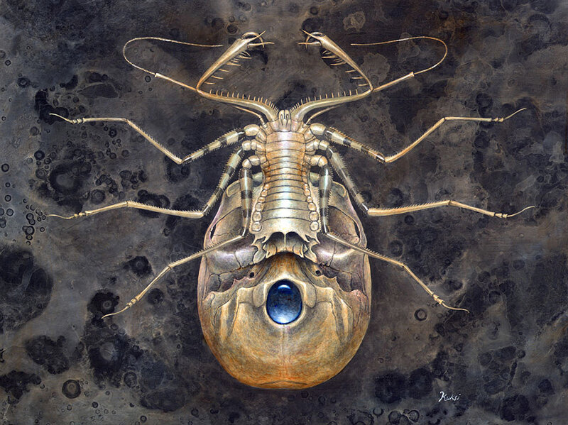 alien insect with blue eye