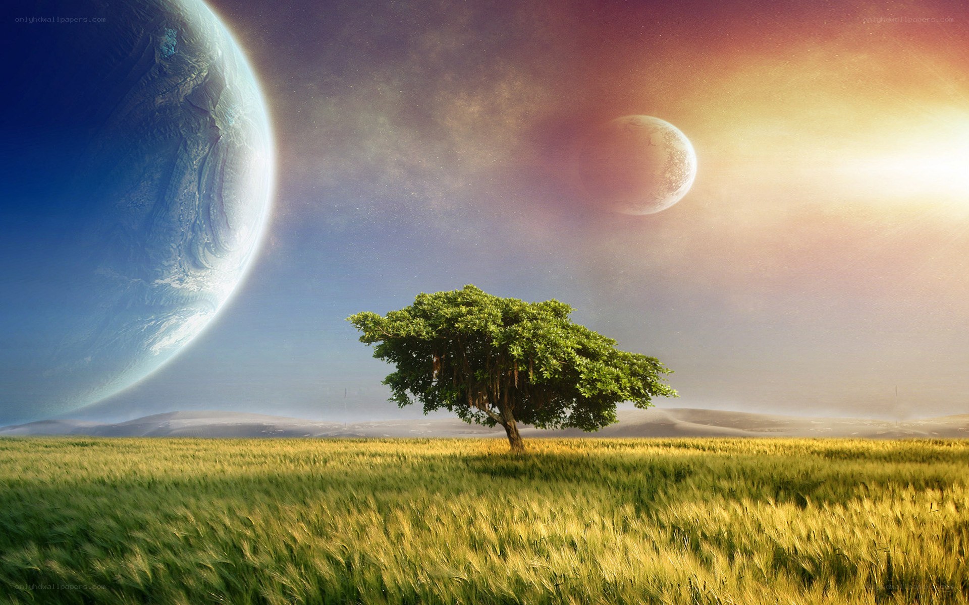 alien landscape with lone tree