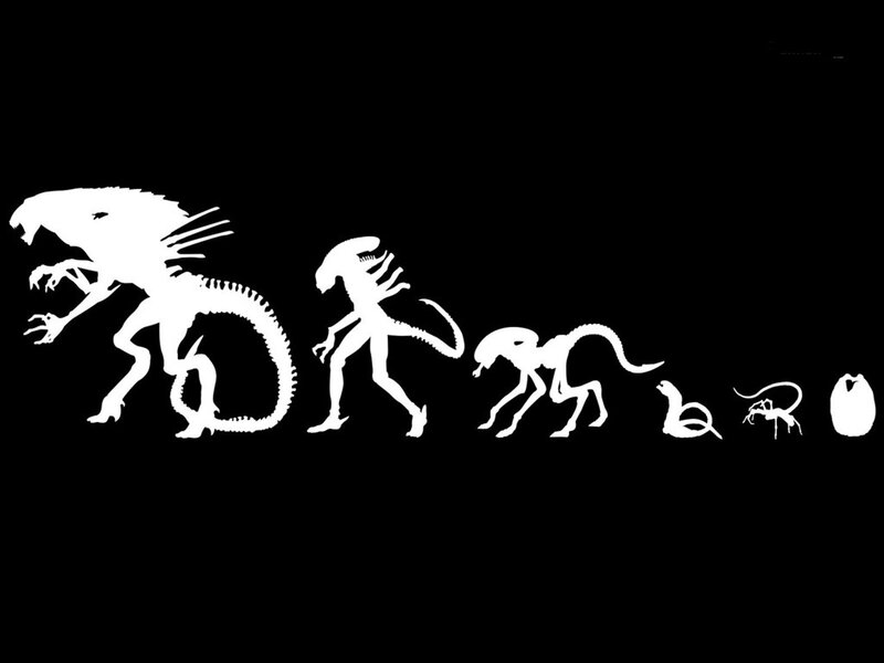 Alien Life Cycle — White