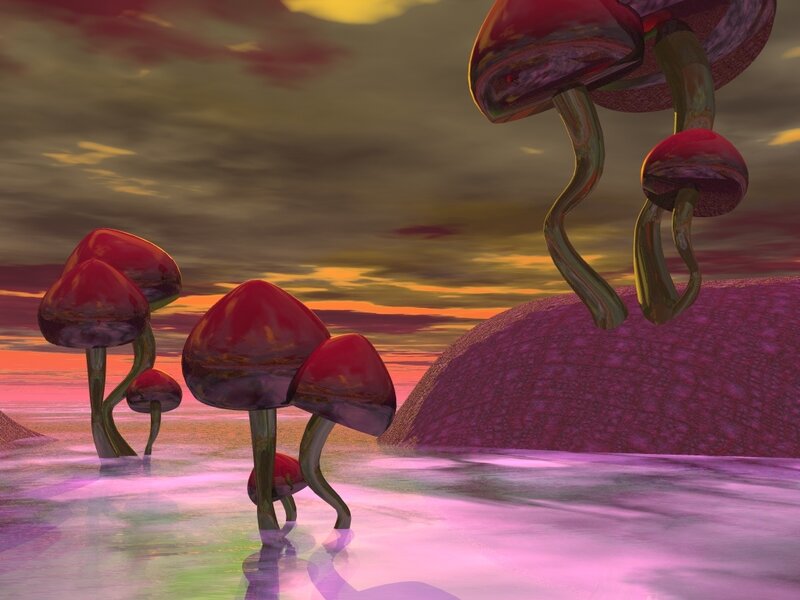 alien mushroom landscape