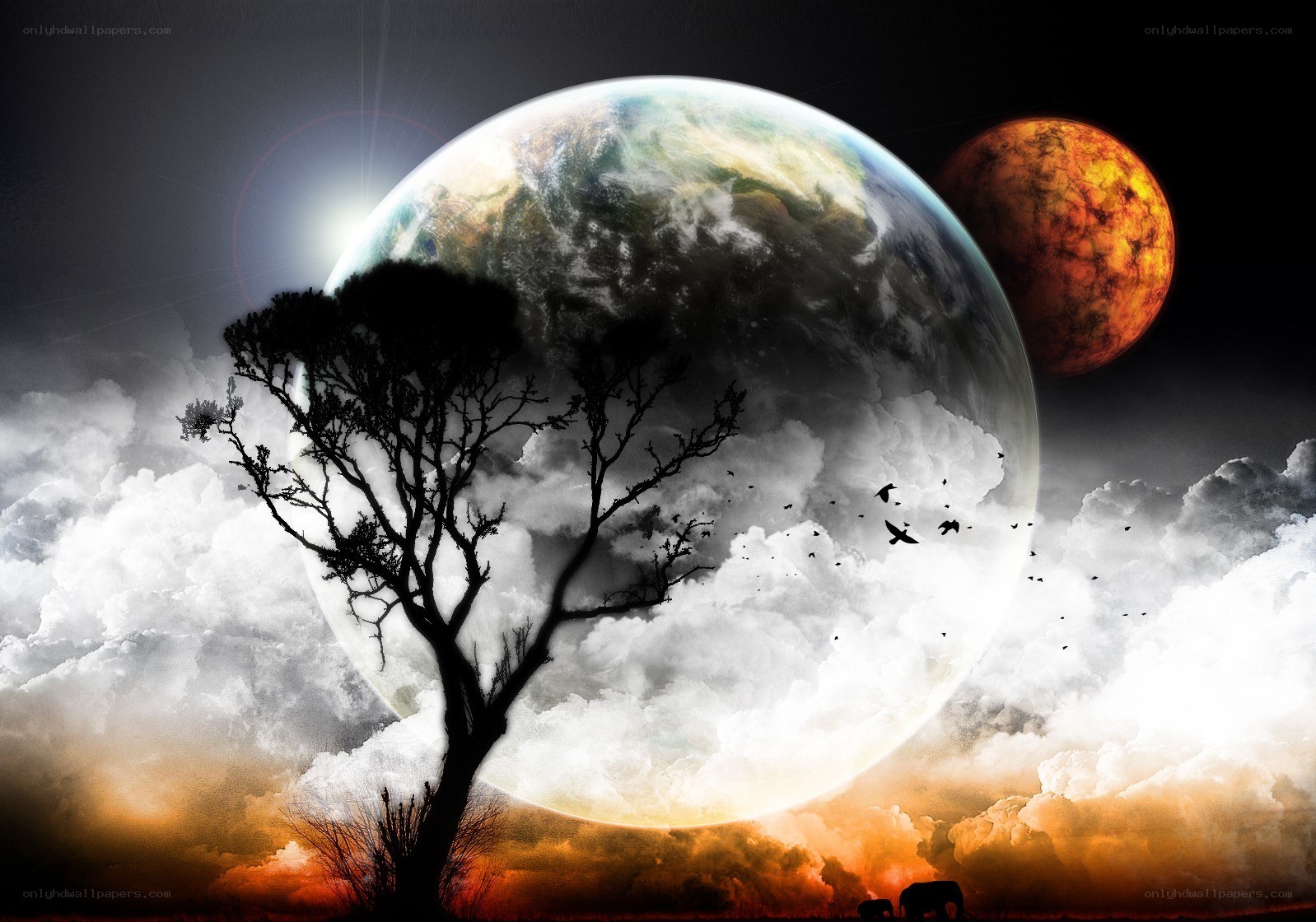 alien planet landscape
