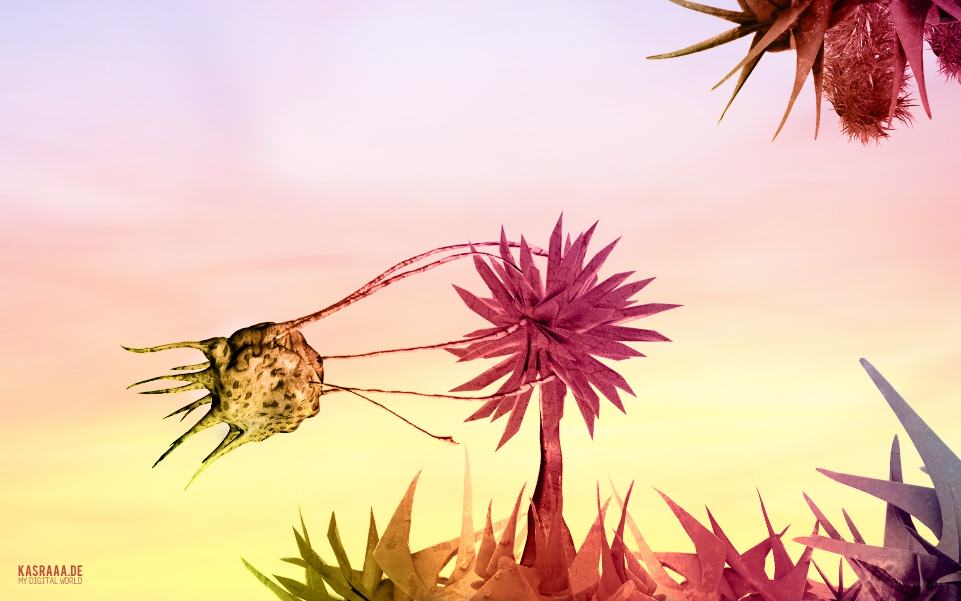 alien plant life at sunset