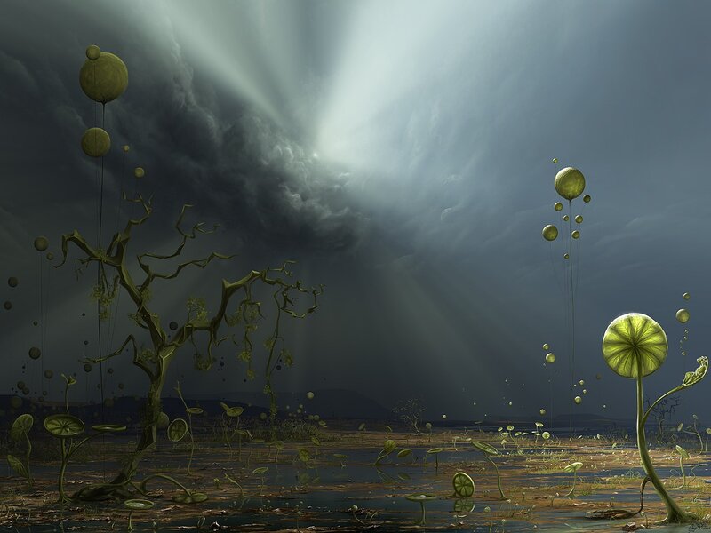 Alien Plants in Swamp
