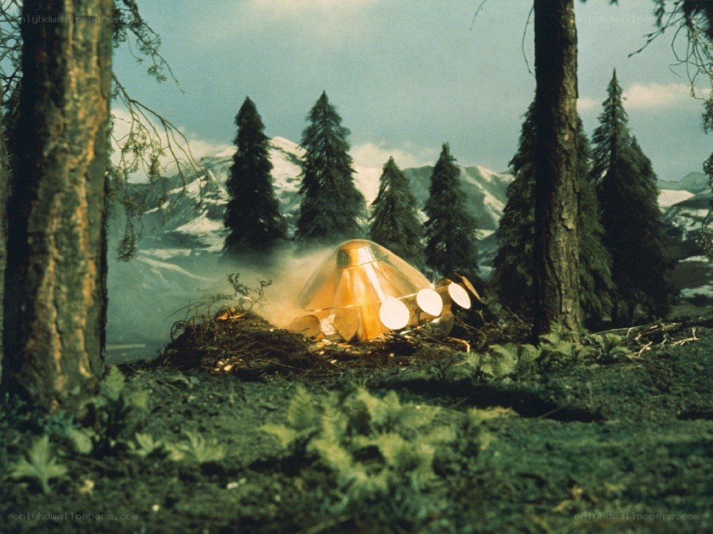 alien spacecraft in forest