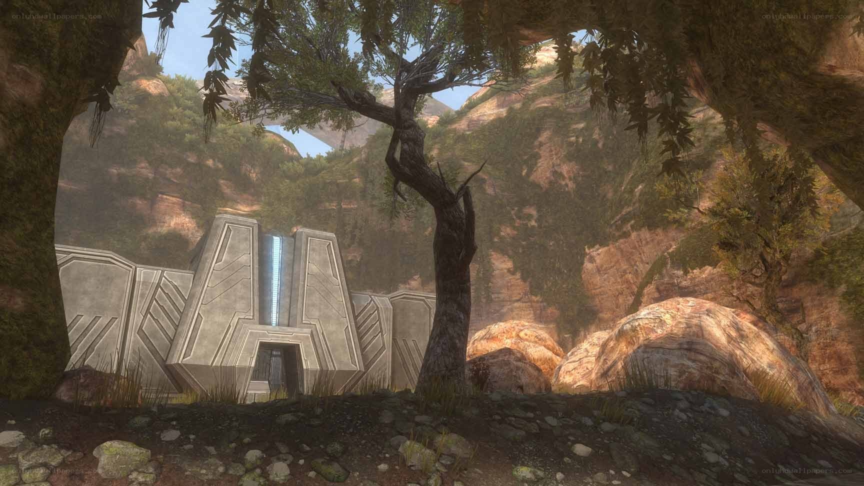 alien structure in forested canyon