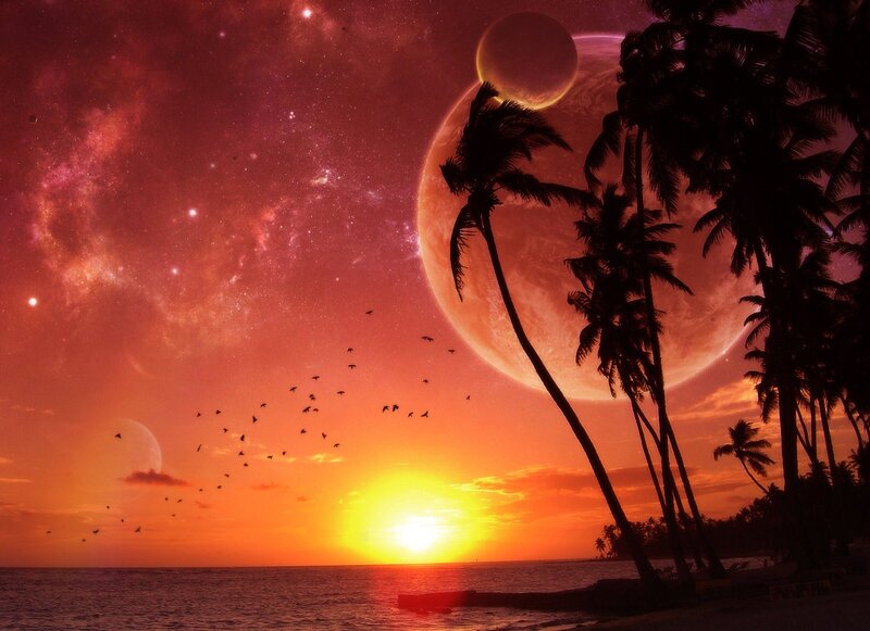 alien sunset with palm trees