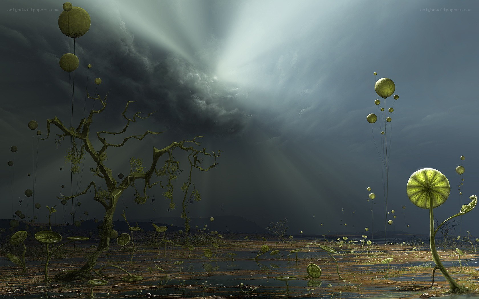alien swamp with floating spheres