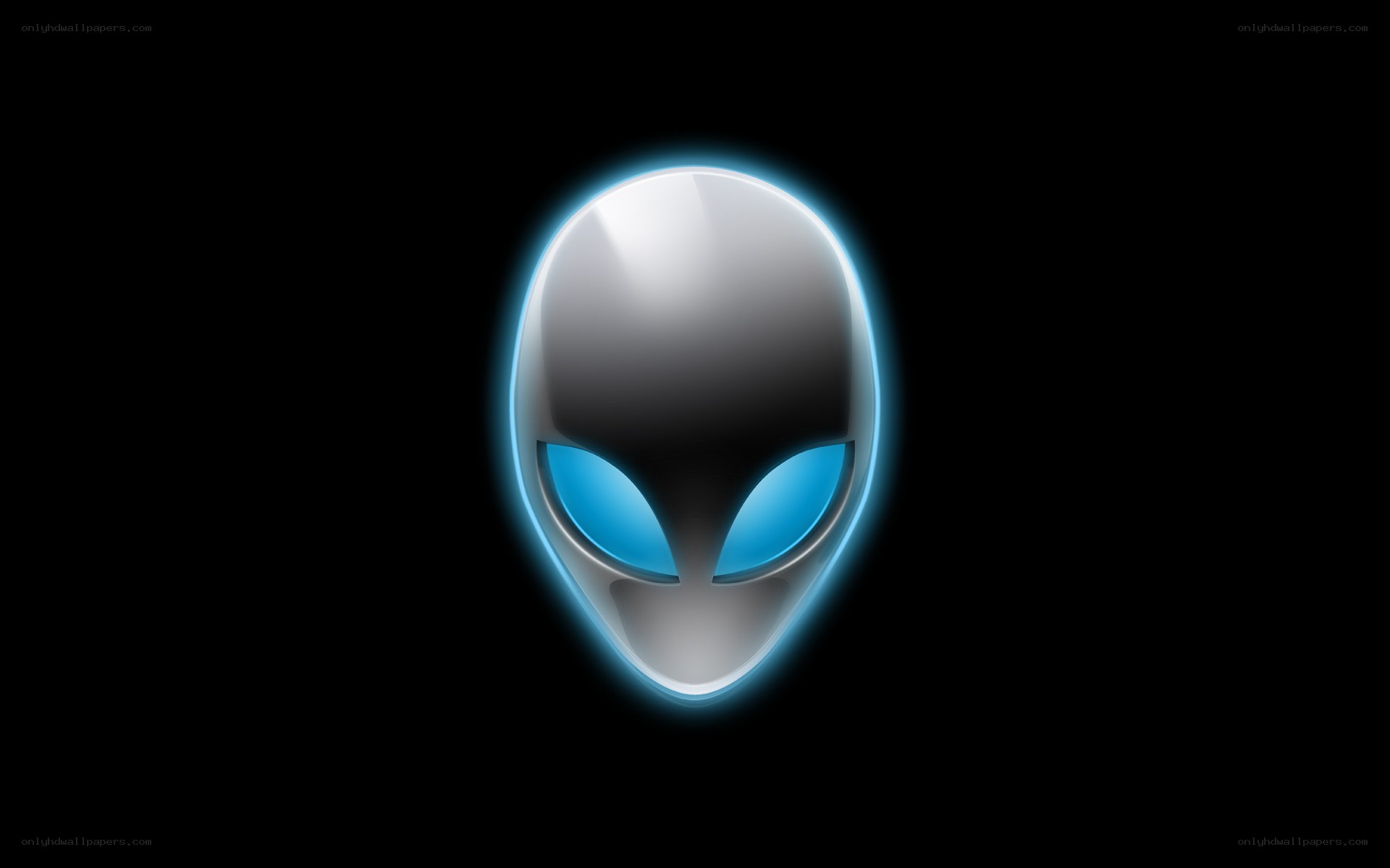 Alienware logo on black