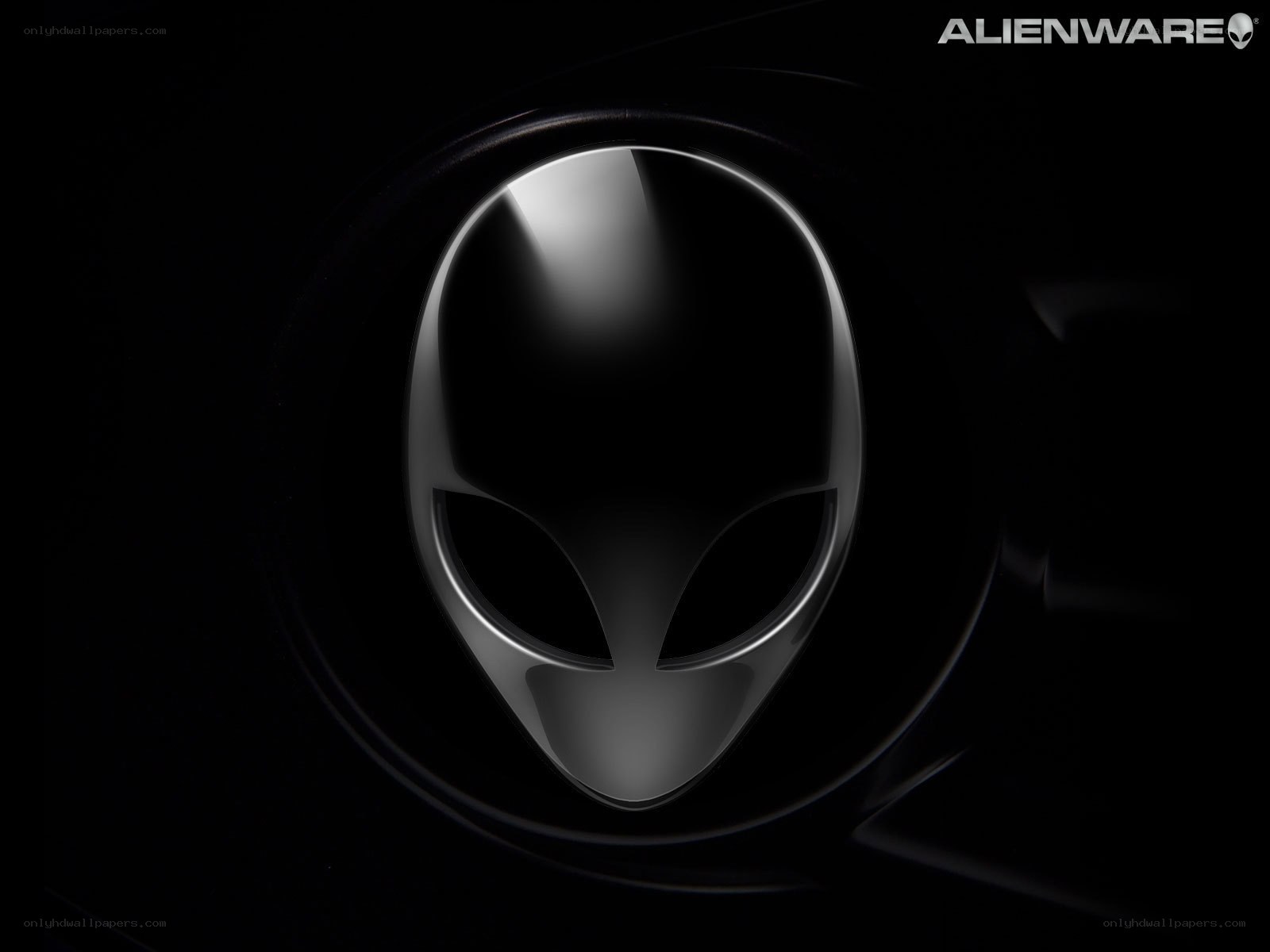 Alienware logo on black